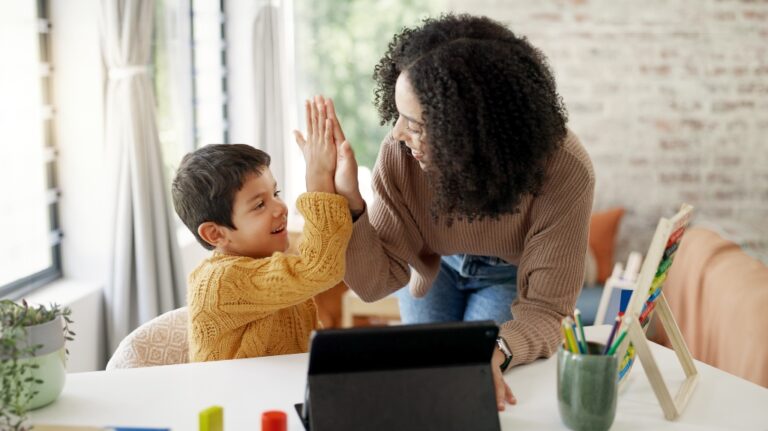 guardian ad litem in minnesota chips case